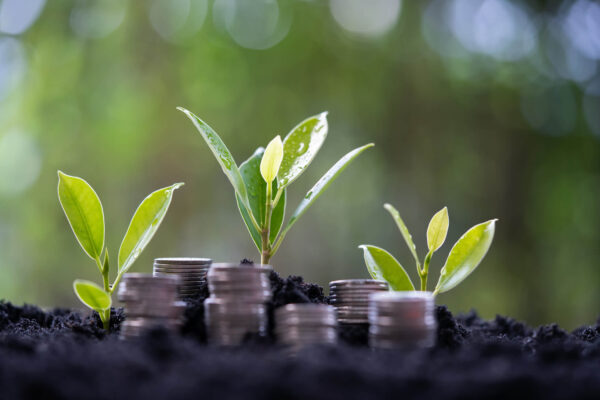Sustentabilidade e finanças pessoais: a combinação perfeita para o futuro